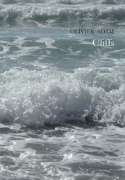 Cliffs (Olivier Adam)