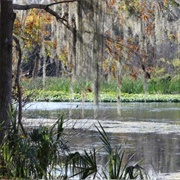 Lower Wekiva River Preserve State Park