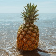 Pineapple