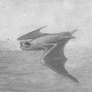 Mongalla Free-Tailed Bat