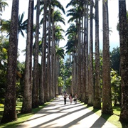 Jardim Botânico Do Rio De Janeiro
