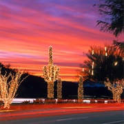 Christmas in Arizona