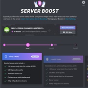 Boost a Discord Server