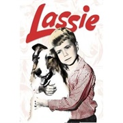 Lassie (1954–1974)