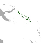 Solomon's Naked-Backed Fruit Bat