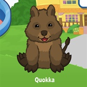Quokka