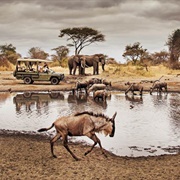 Serengeti National Park
