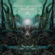 The Sound of Animals Fighting - The Ocean and the Sun