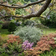 Darts Hill Garden Park, Surrey, BC, Canada