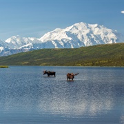 Wonder Lake, Alaska