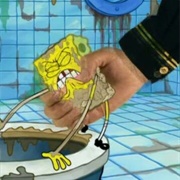 New Sponge (SpongeBob)