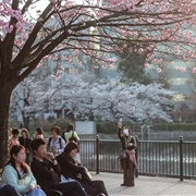 Ueno Park