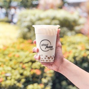 Chrysanthemum Bubble Tea