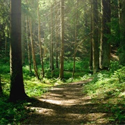 Watershed Park, Delta, BC, Canada
