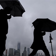 It's Raining, It's Pouring