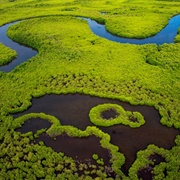 Niumi National Park, the Gambia