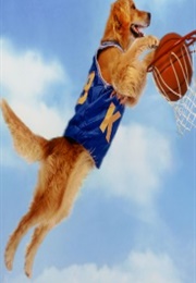 Air Bud, "Air Bud" (1997)