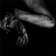 Fawn Limbs - Darwin Falls