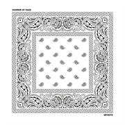 Summer of Haze - Infinite