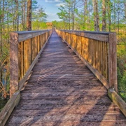 Grassy Waters Preserve, West Palm Beach