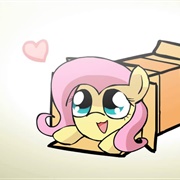 Ponies Sliding Into Boxes