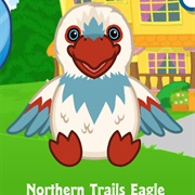 Northern Trails Eagle