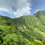 Central Forest Reserve National Park, Saint Kitts and Nevis