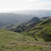 Ohlone Wilderness Regional Preserve