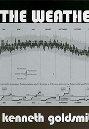 The Weather (Kenneth Goldsmith)