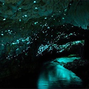 New Zealand - Waitomo Glowworm Caves