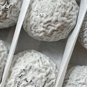 Wabash Cannonball Cheese