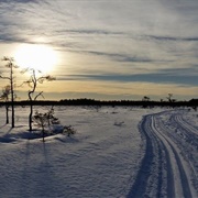 Blängsmossen, Skövde