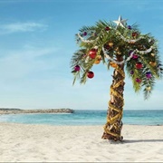 Christmas in the Tropics