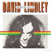 Mercury Blues - David Lindley