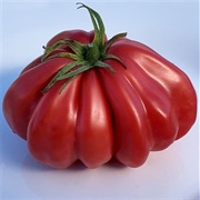 Zapoteca Tomatoes