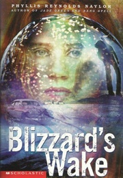 Blizzard's Wake (Phyllis Naylor)