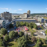 Rooftop Park Anchorage