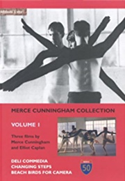 Beach Birds for Camera (1991)