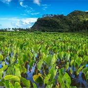 Futuna, Walls & Futuna