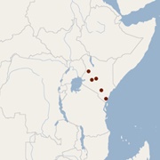 Andrew Rebori's House Bat