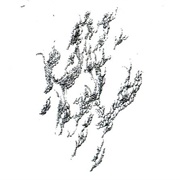 Yellow Swans - Drowner Yellow Swans