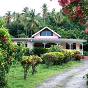 Rabot Estate Cacao Farm, St. Lucia