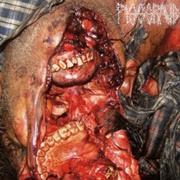 "Euthanasia" by Pissgrave