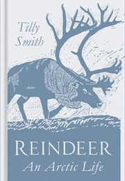 Reindeer (Tilly Smith)