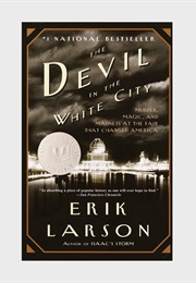 The Devil in the White City: Murder, Magic, and Madness at the Fair That Changed America (Erik Larson)