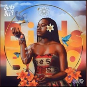 Birds and the BEE9 - Sampa the Great