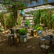 Try Hard Coffee Roasters- Texas