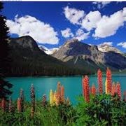 Yoho National Park, BC, Canada