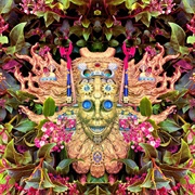 Shpongle - Carnival of Peculiarities