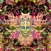 Shpongle - Carnival of Peculiarities